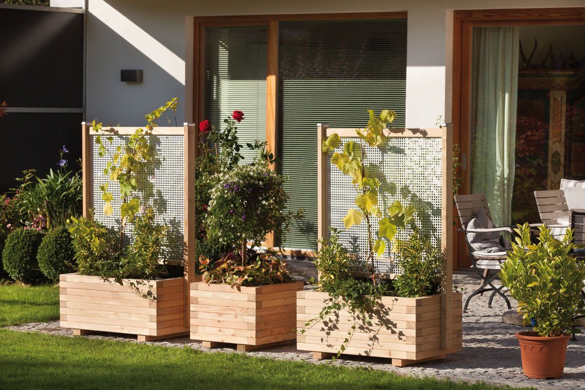 51+ Sichtschutz Mit Pflanztrog, Blumenkasten hochbeet mit rankgitter,