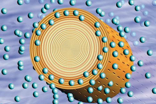 Kesseldruckimprägnierung als Schutzmittel