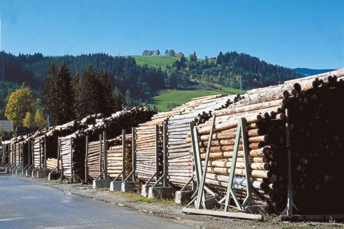 Sortierte, gelagerte Rundhölzer